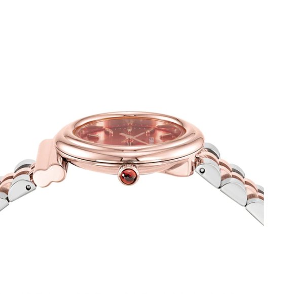 Salvatore Ferragamo 28mm Women\'s Two Tone Watch main image 4